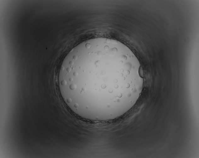 X0000098100913200804040743