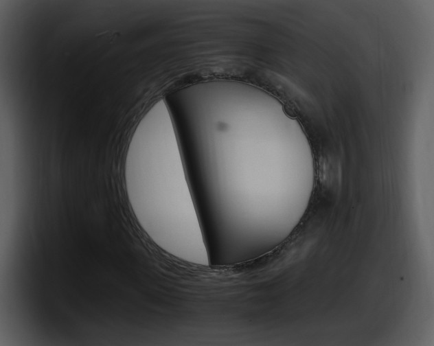 X0000098100915200804040743