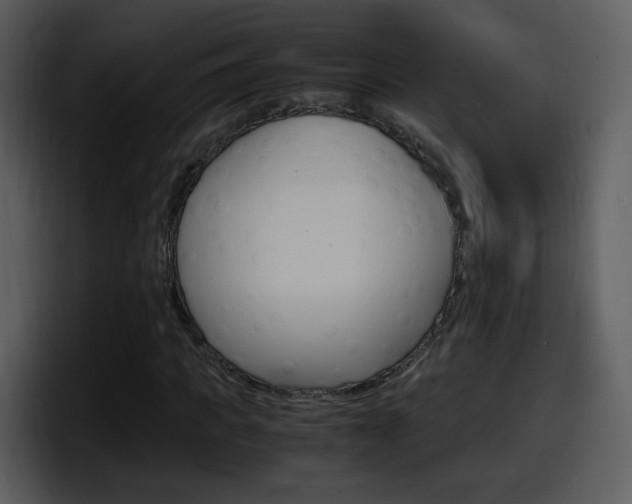 X0000098100917200804040743