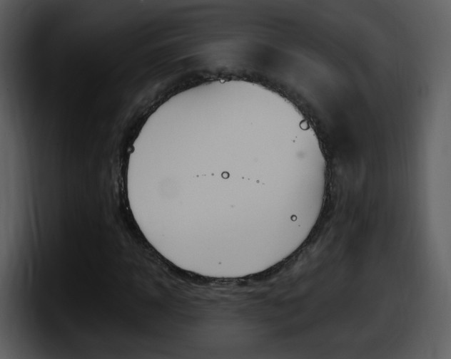 X0000098100918200804040743