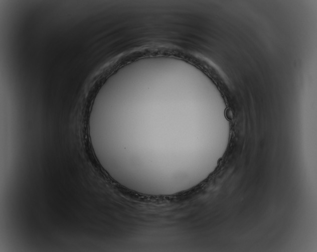 X0000098100919200804040743