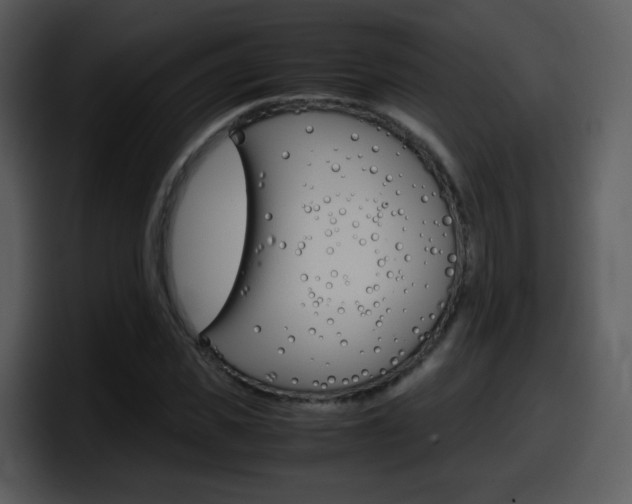 X0000098100925200804040743
