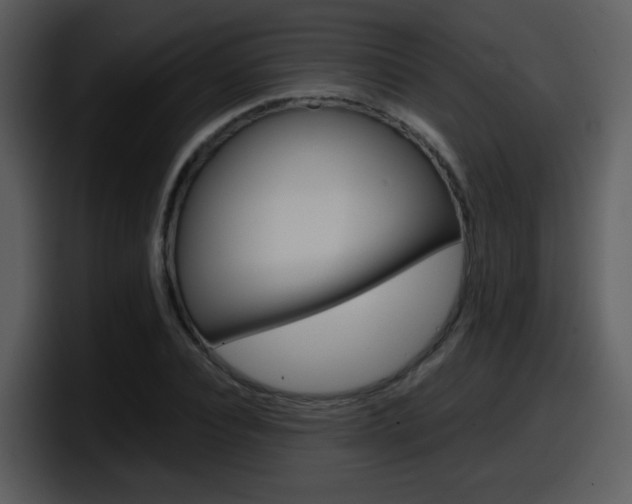 X0000098100928200804040743
