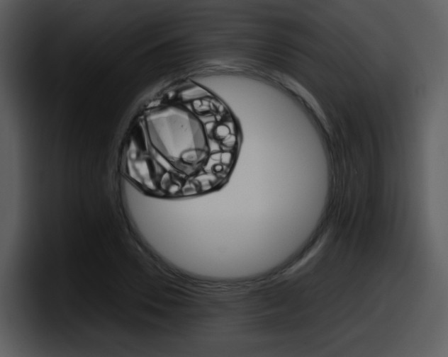 X0000098100930200804040743