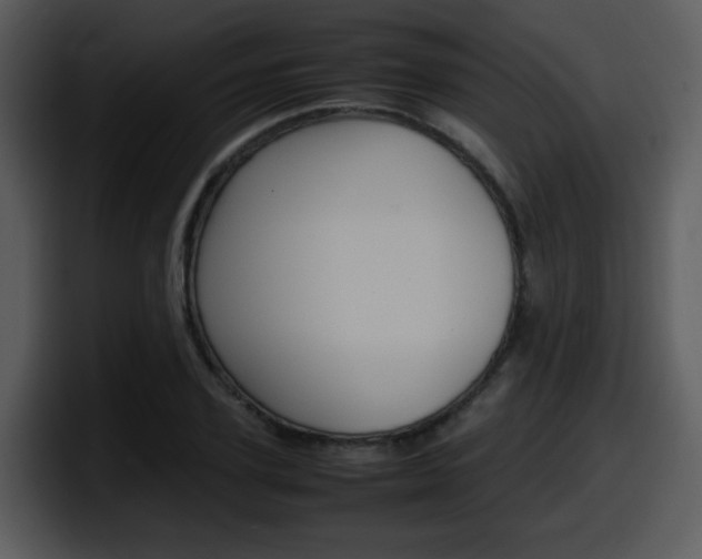 X0000098100931200804040743
