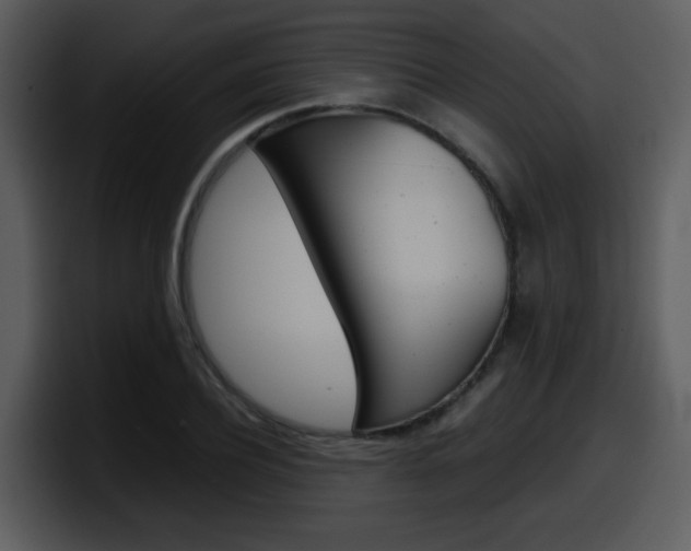 X0000098100932200804040743