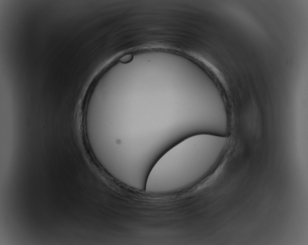X0000098100933200804040743