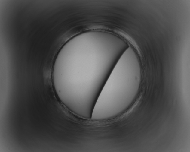 X0000098100937200804040743