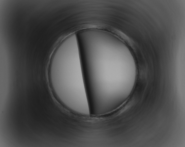X0000098100938200804040743