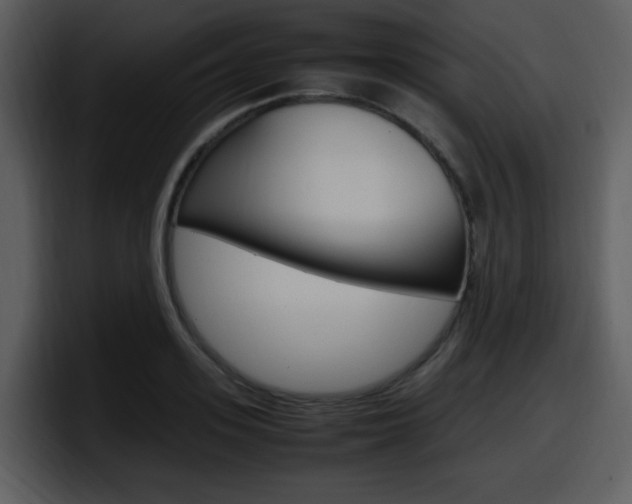 X0000098100939200804040743