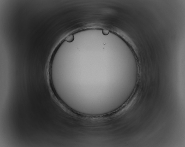 X0000098100941200804040743