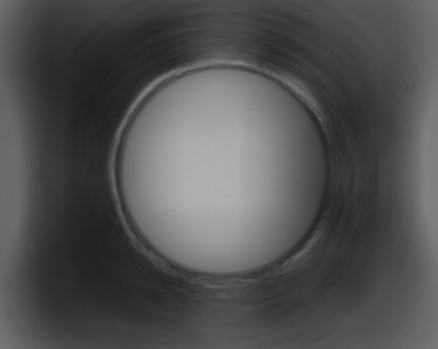 X0000098100942200804040743