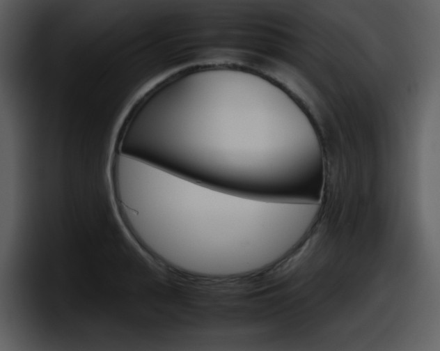X0000098100943200804040743