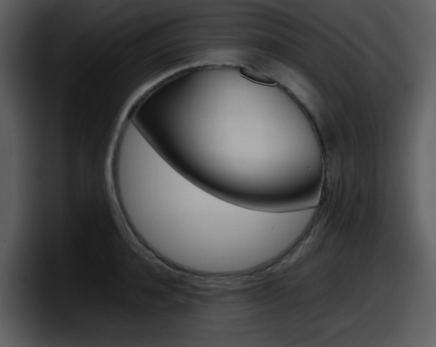 X0000098100944200804040743