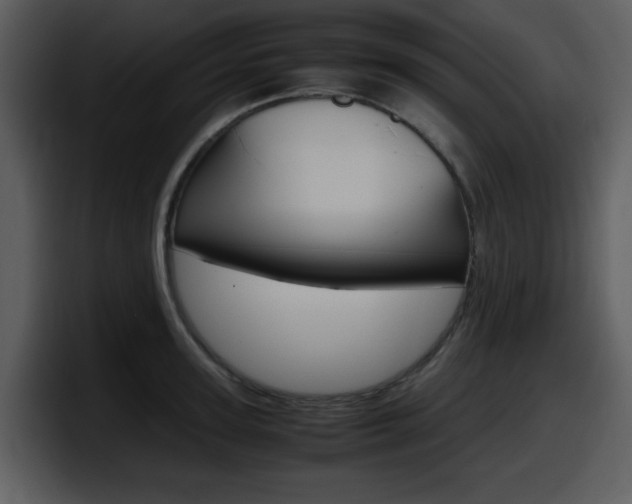 X0000098100947200804040743