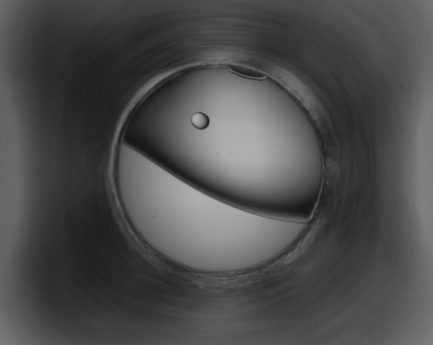 X0000098100948200804040743