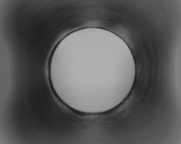 X0000098100950200804040743