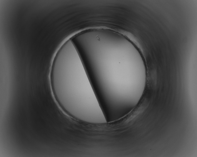 X0000098100951200804040743