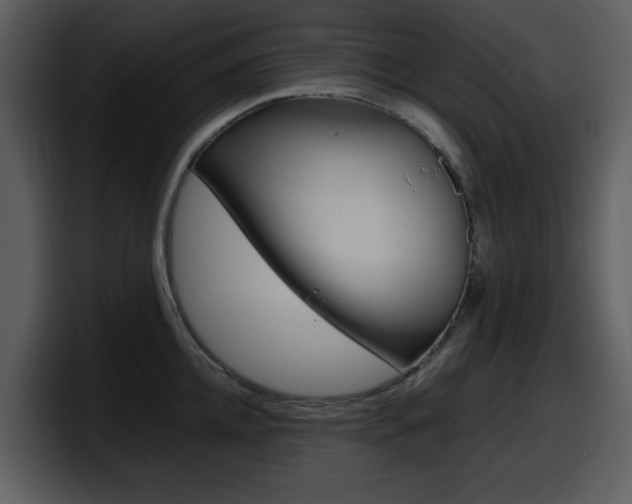 X0000098100952200804040743