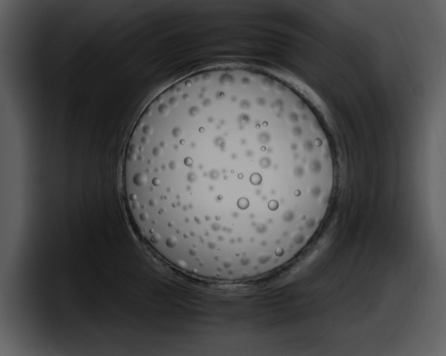 X0000098100953200804040744