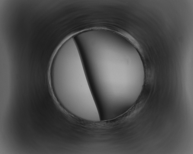 X0000098100955200804040744