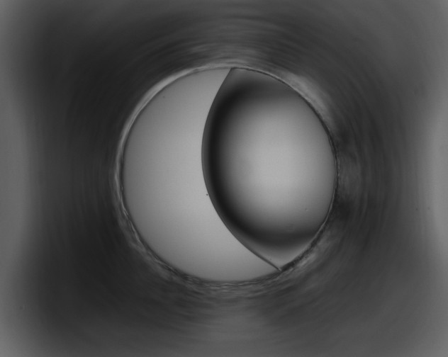 X0000098100956200804040744