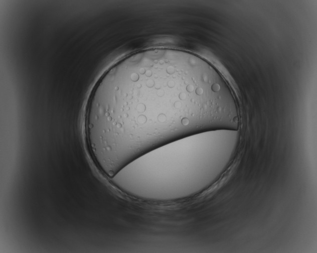 X0000098100957200804040744