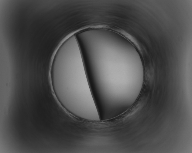 X0000098100959200804040744