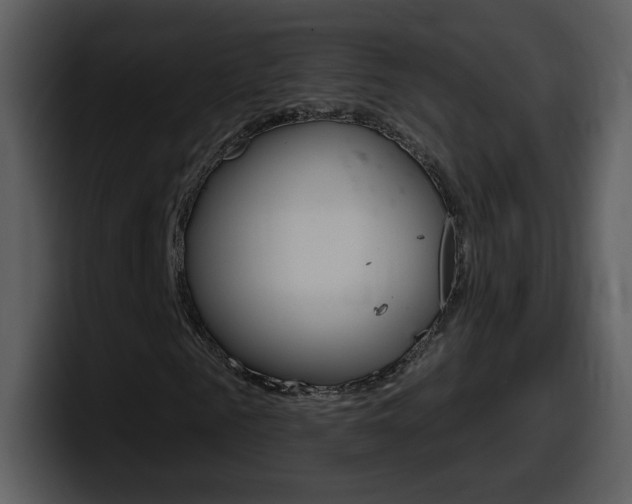 X0000098100961200804040743