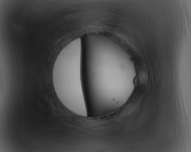 X0000098100964200804040743
