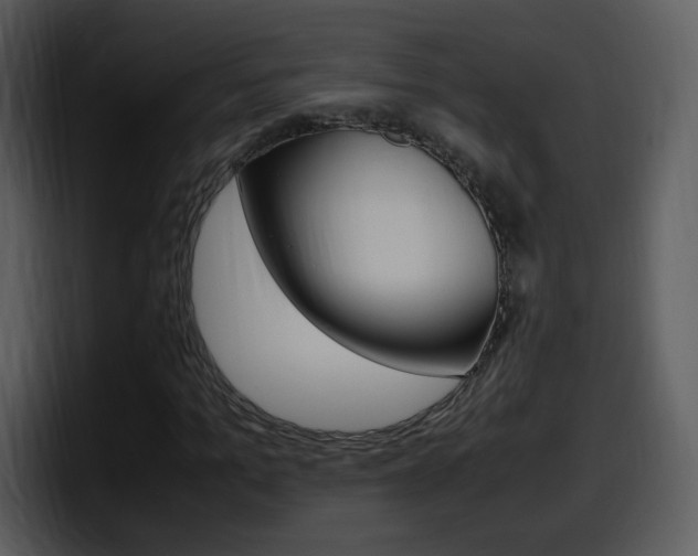 X0000098100965200804040743