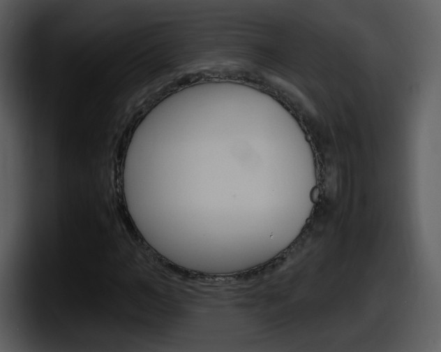 X0000098100966200804040743