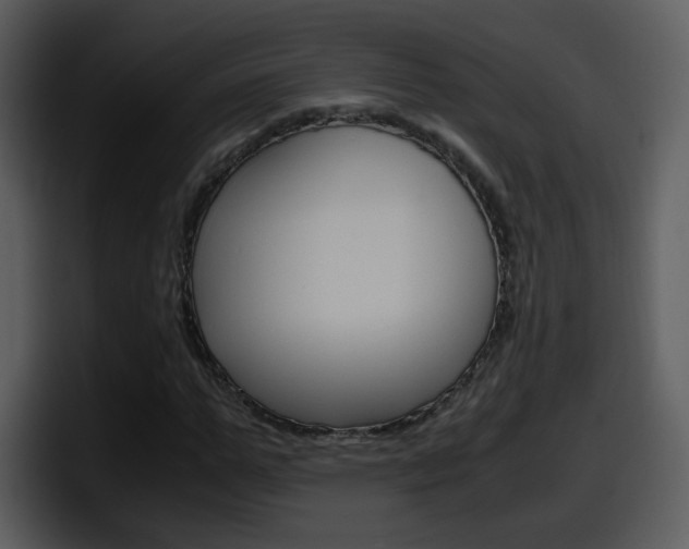 X0000098100967200804040743