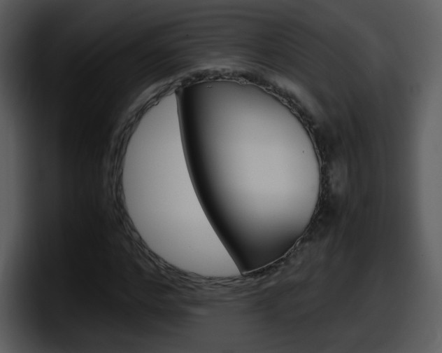 X0000098100968200804040743