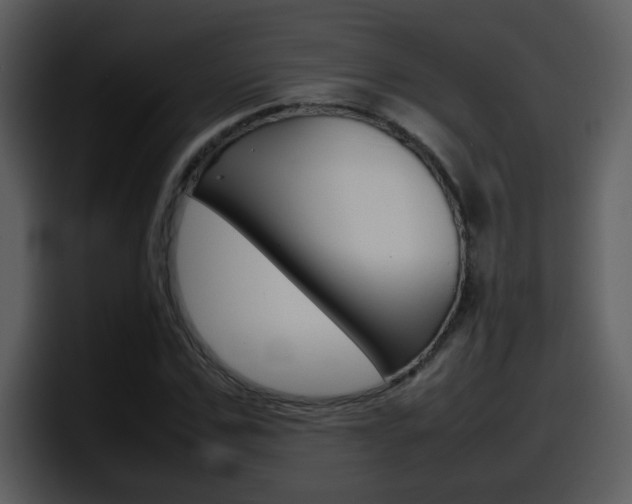 X0000098100971200804040743