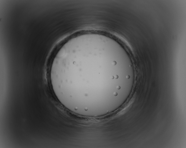 X0000098100974200804040743