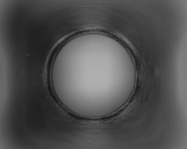 X0000098100975200804040743