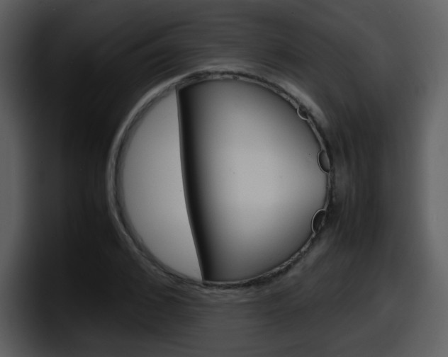 X0000098100976200804040743