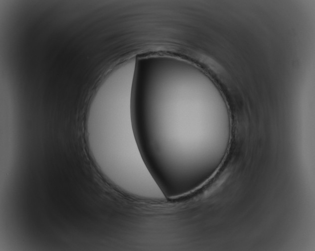 X0000098100977200804040743