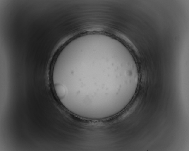 X0000098100978200804040743