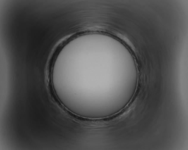 X0000098100979200804040743