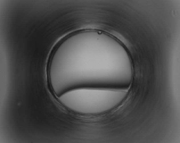 X0000098100980200804040743