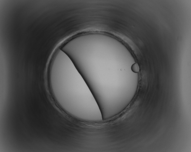 X0000098100982200804040743