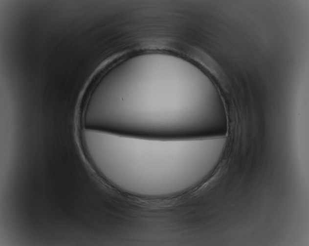 X0000098100984200804040743