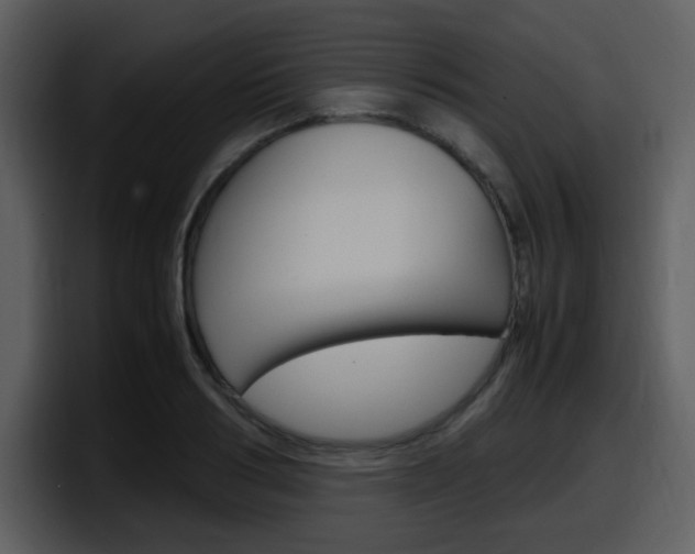 X0000098100986200804040743