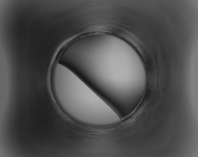 X0000098100987200804040743