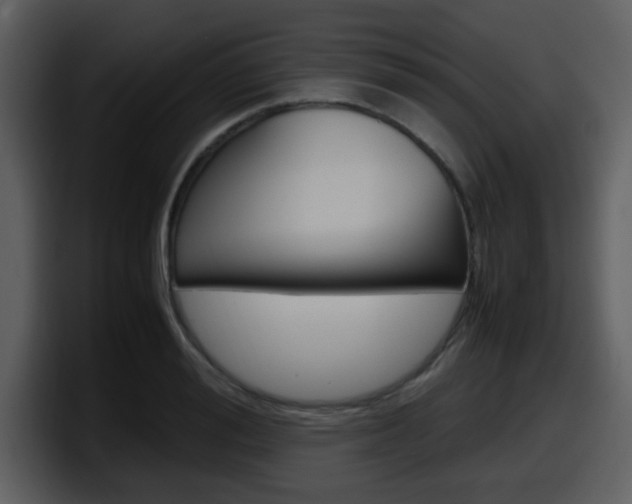 X0000098100988200804040743