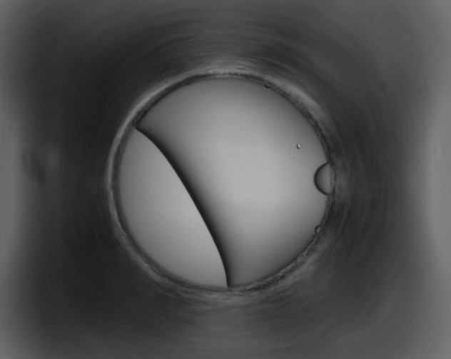 X0000098100990200804040743