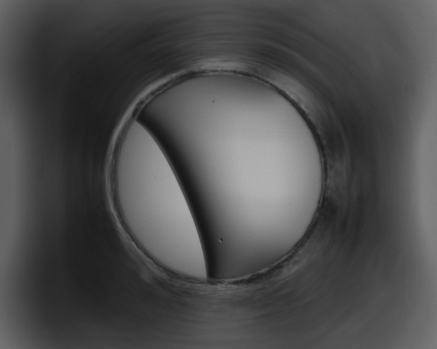 X0000098100992200804040743