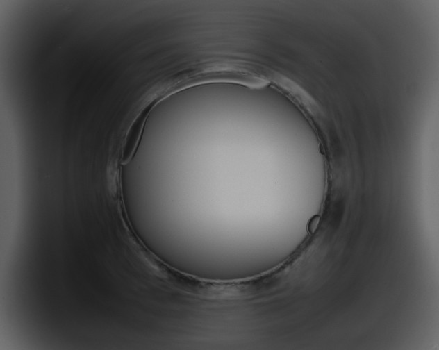 X0000098100993200804040743
